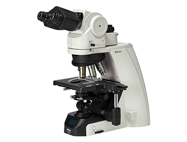 尼康Ci-L plus显微镜