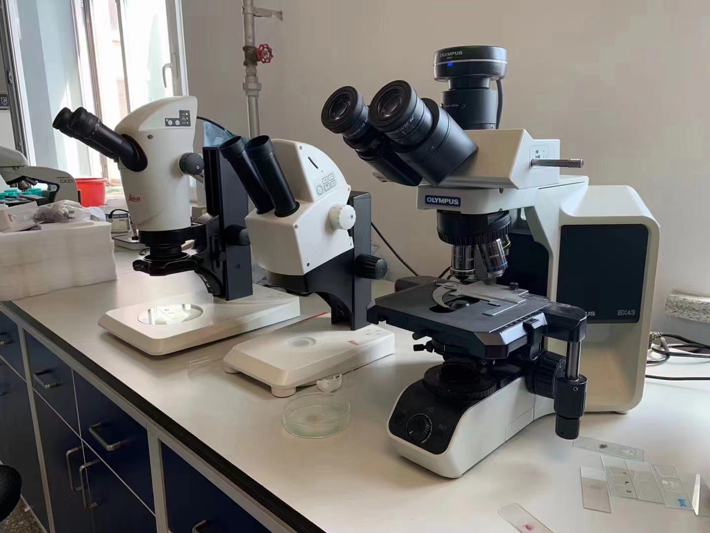 奥林巴斯体视显微镜