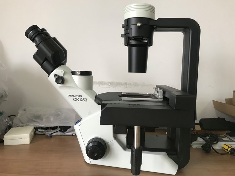 奥林巴斯倒置显微镜
